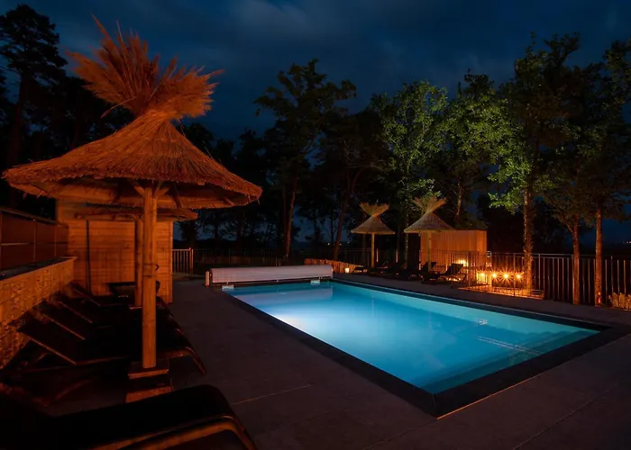 Le Pech Eternel - La Truffiere 住宿加早餐酒店 萨尔拉拉卡内达